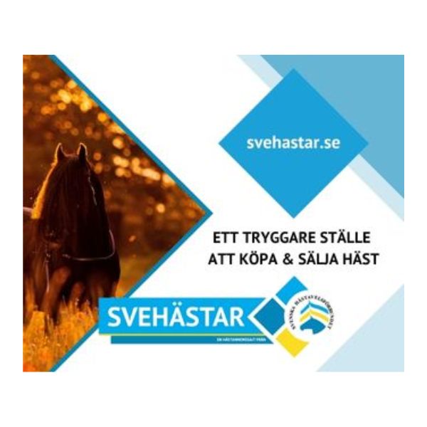 nyhet 600 x 600 px (1)