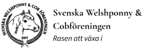 rubrik (2)